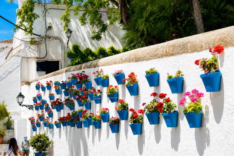 sunny mediterranean street with bougainville
