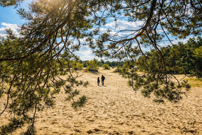 zandpad onder de dennebomen doornspijk