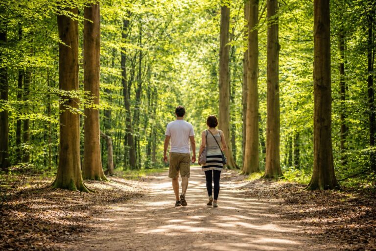 zomerse boswandeling met zonlicht omgeving epe