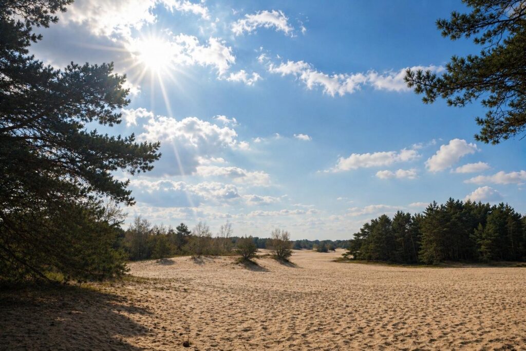zonnige duinen met bomen en wolken doornspijk