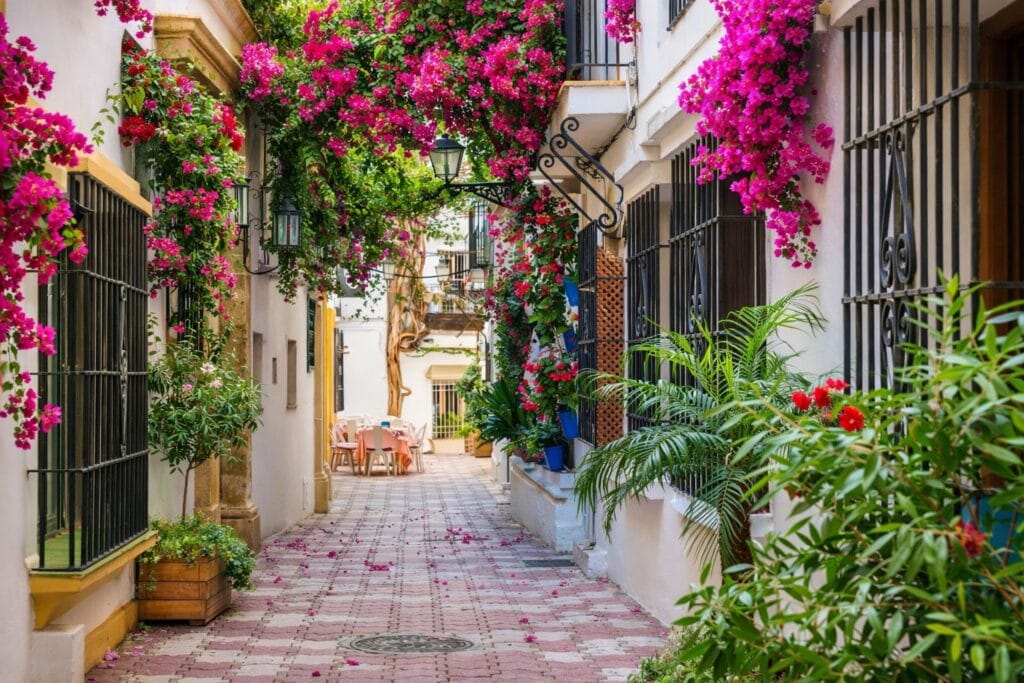 marbella old town street with flowers