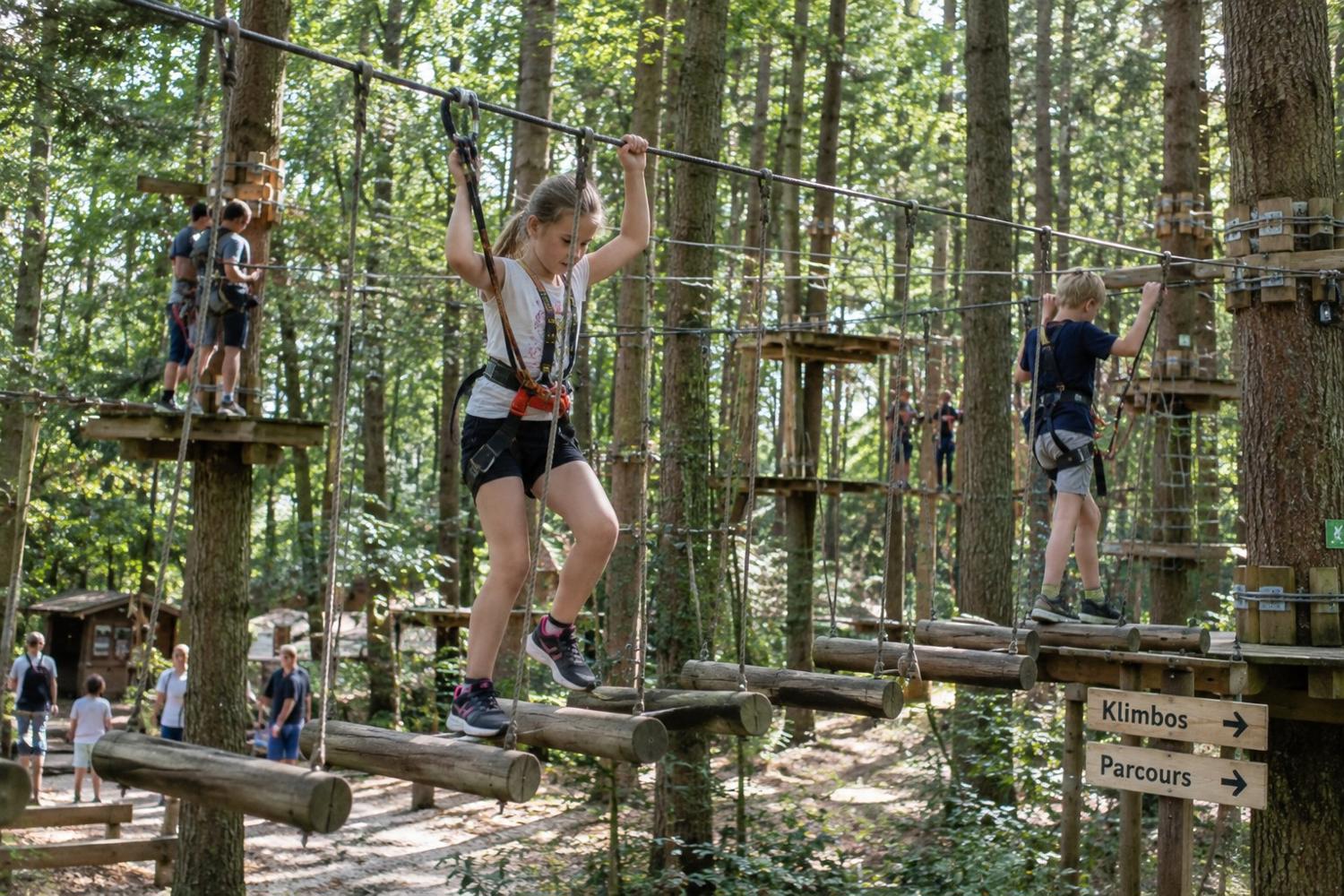 Kinderen klimmen in Klimbos Apeldoorn