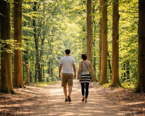 Wandelen in bosrijke omgeving met bomen